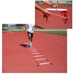 Basic Agility Ladder
