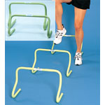 Mini Training Hurdles