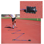 Weighted Bag Ladder