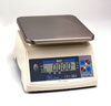Economical Digital Scale