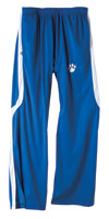 Holloway Force Pant