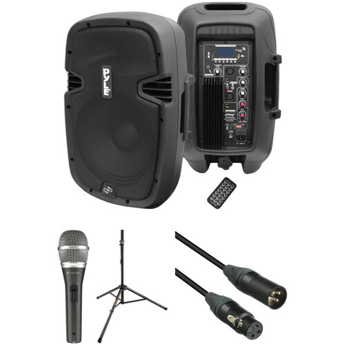 Pyle pro 10 inch speakers sales