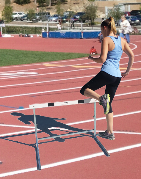 VS Jr. Adjustable Training Hurdles