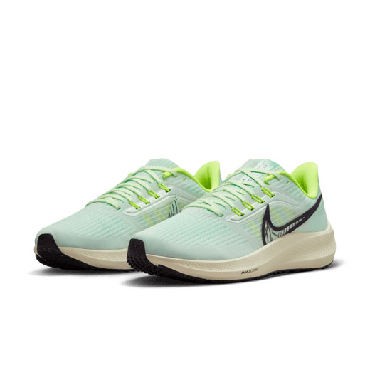 Nike Air Zoom Pegasus 39 Womens - 300