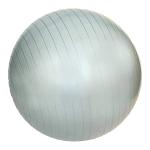 JFIT Anti-Burst Gym Ball