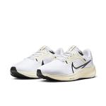 Nike Air Zoom Pegasus 40 Womens - 100