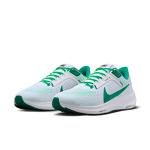 Nike Air Zoom Pegasus 40 PR Mens - 100