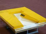 SafetyMax+ Pole Vault Insert SafetyMax+ Pole Vault Insert